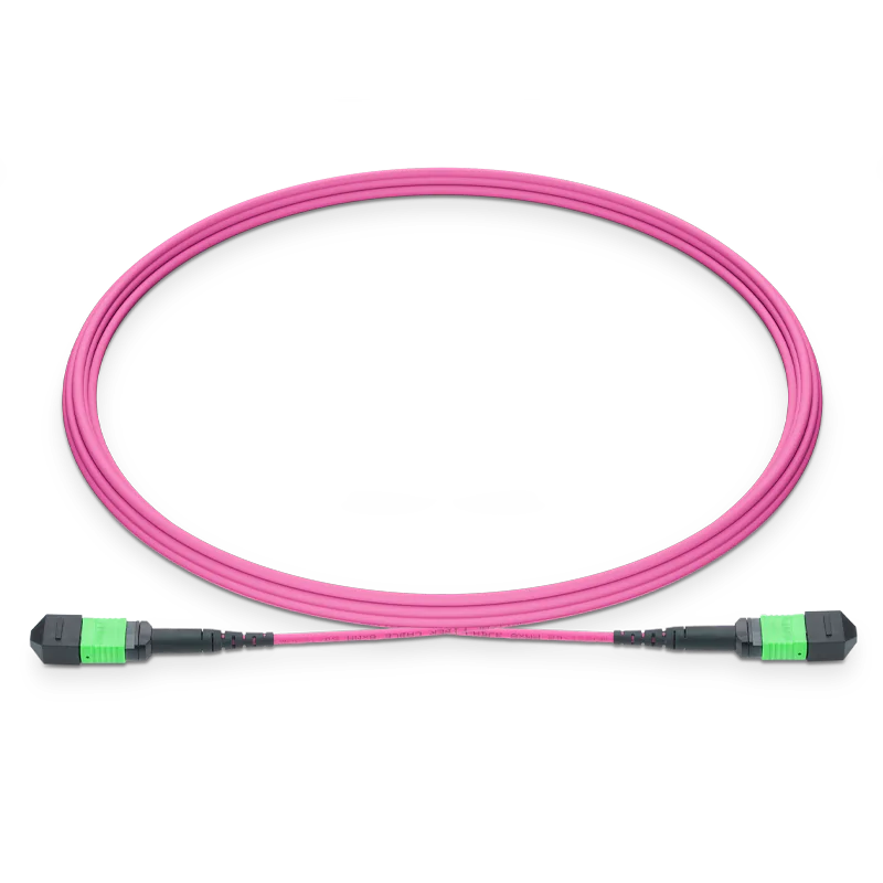 MPO-12 APC (Female) to MPO-12 APC (Female) 12 Fibers Multimode (OM4) Jumper, Type B, LSZH, 3.0mm, Max IL ≤ 0.35dB, Magenta